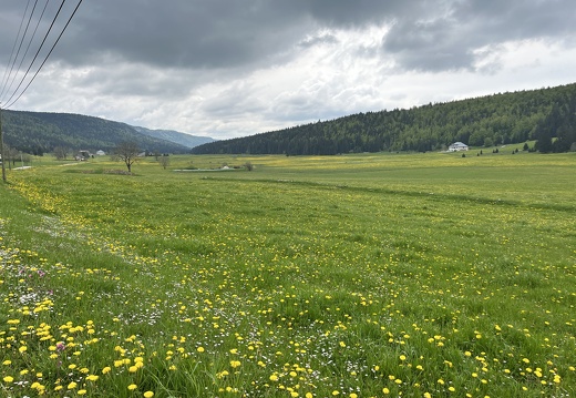 23-05-21 15-46-34 5531